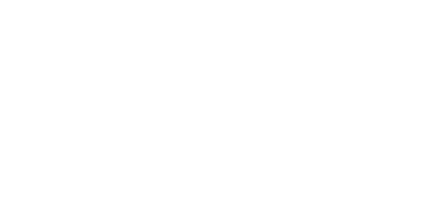 Bleap Logo